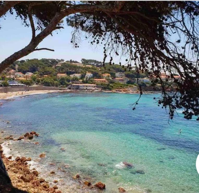 Chambre D'Hotes - Villa Pierredon Sanary-sur-Mer Esterno foto